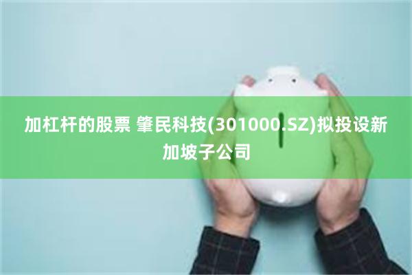 加杠杆的股票 肇民科技(301000.SZ)拟投设新加坡子公司