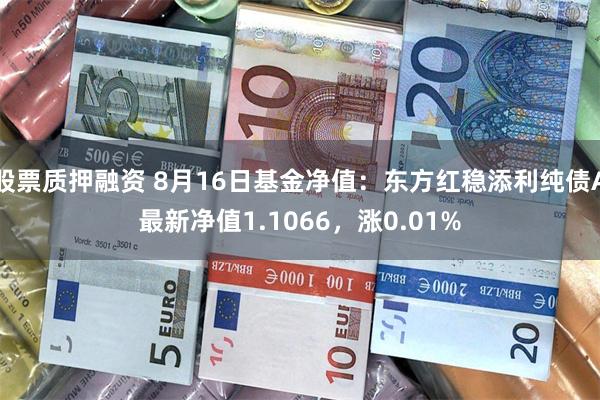 股票质押融资 8月16日基金净值：东方红稳添利纯债A最新净值1.1066，涨0.01%