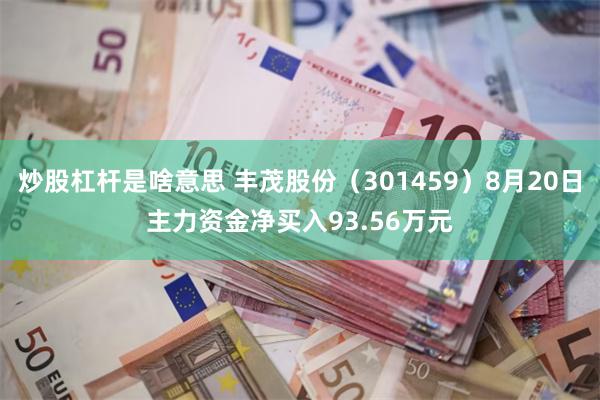 炒股杠杆是啥意思 丰茂股份（301459）8月20日主力资金净买入93.56万元