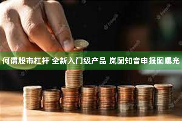 何谓股市杠杆 全新入门级产品 岚图知音申报图曝光