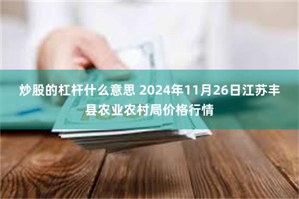 炒股的杠杆什么意思 2024年11月26日江苏丰县农业农村局价格行情