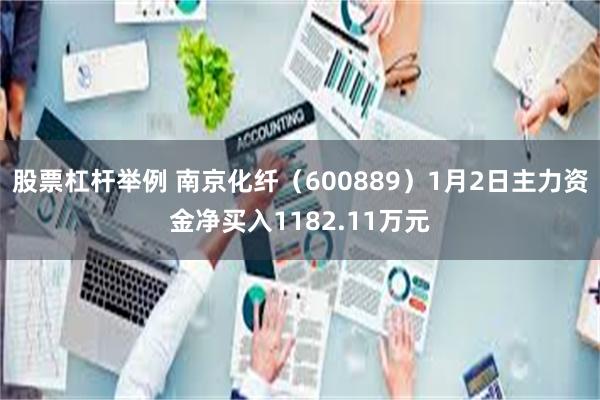 股票杠杆举例 南京化纤（600889）1月2日主力资金净买入1182.11万元