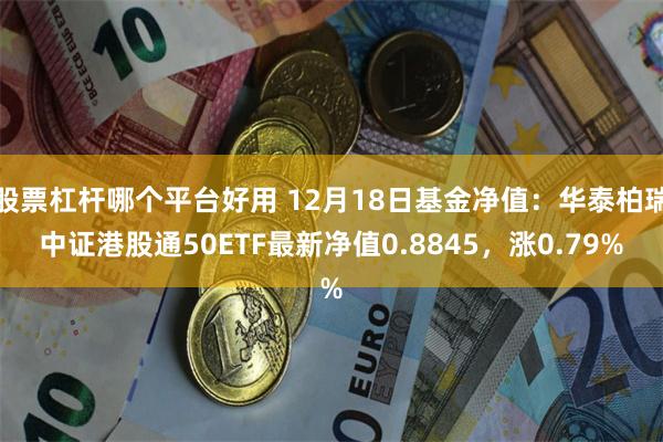 股票杠杆哪个平台好用 12月18日基金净值：华泰柏瑞中证港股通50ETF最新净值0.8845，涨0.79%