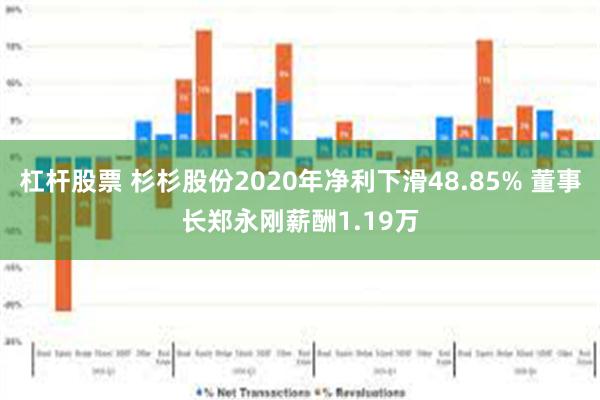 杠杆股票 杉杉股份2020年净利下滑48.85% 董事长郑永刚薪酬1.19万