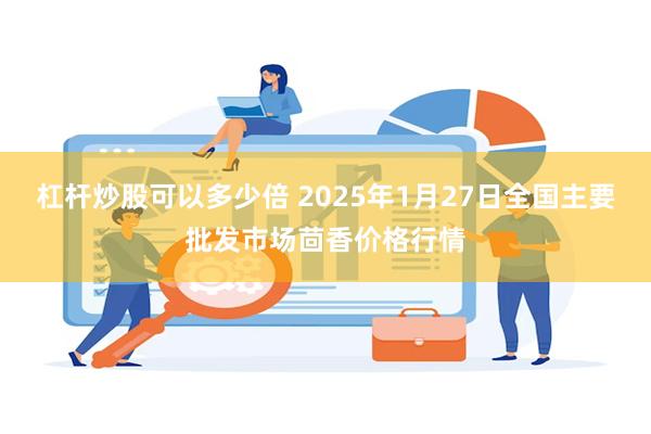 杠杆炒股可以多少倍 2025年1月27日全国主要批发市场茴香价格行情