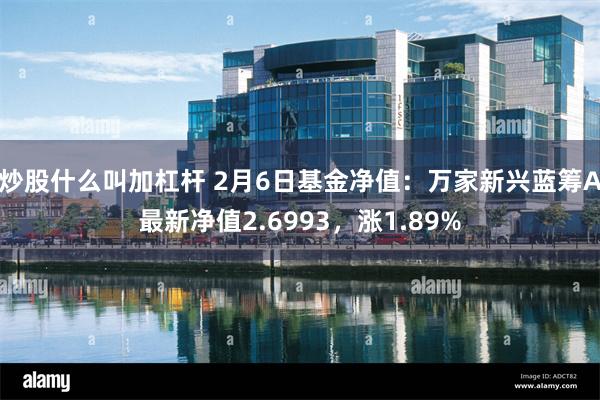 炒股什么叫加杠杆 2月6日基金净值：万家新兴蓝筹A最新净值2.6993，涨1.89%