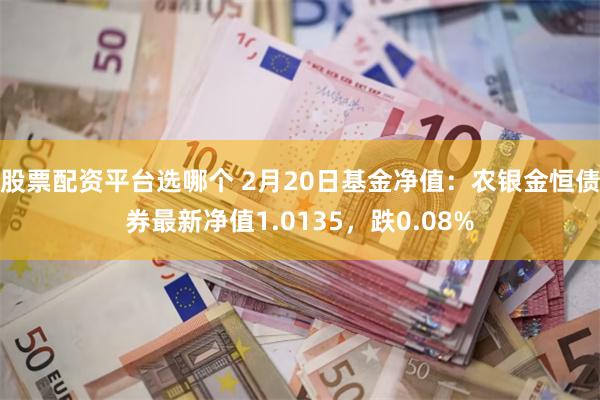 股票配资平台选哪个 2月20日基金净值：农银金恒债券最新净值1.0135，跌0.08%